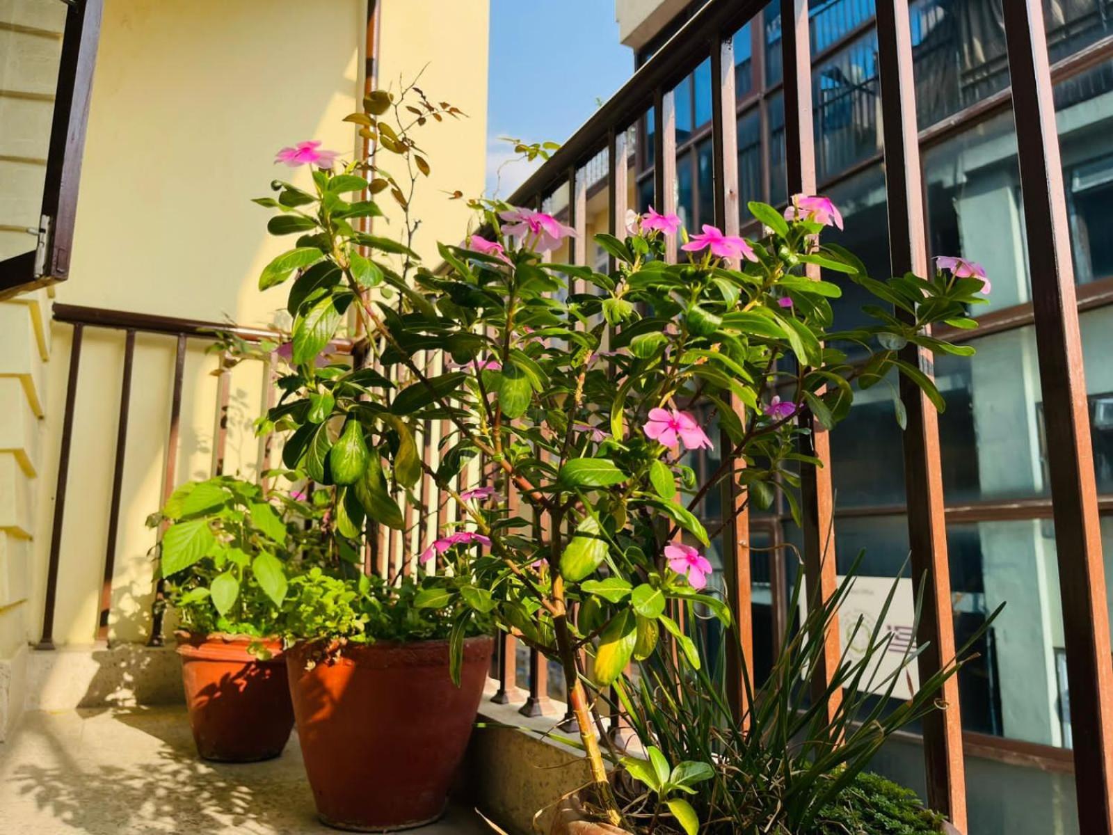 Holy Land Hotel Nepal Катманду Екстер'єр фото